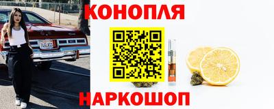 стафф Аргун
