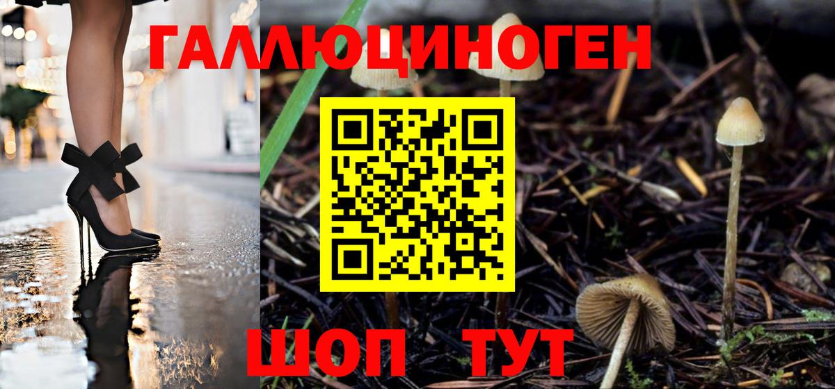 Псилоцибиновые грибы GOLDEN TEACHER Белгород