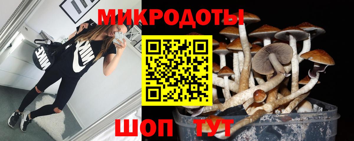 Белгород  Псилоцибиновые грибы ЛСД  Вход с VPN 